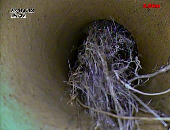 CCTV Drain Survey London