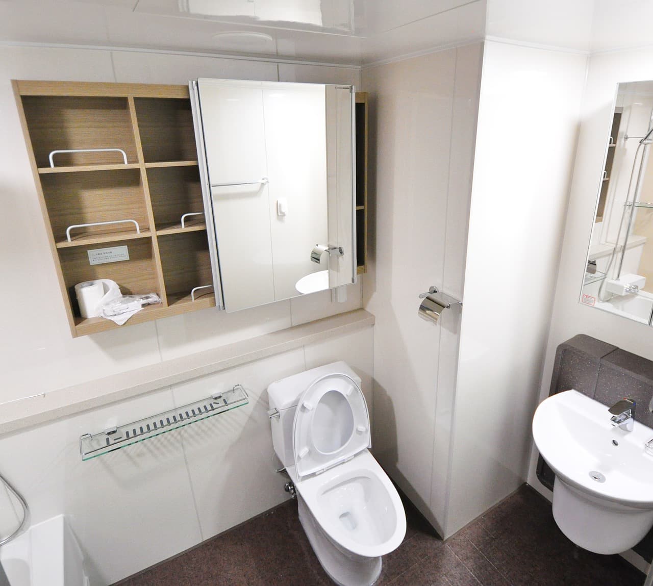 Blocked Toilet In London
