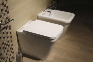 blocked toilet hertfordshire