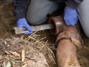 replacing a drain