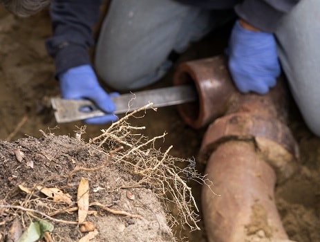 replacing a drain