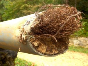 a blocked drain