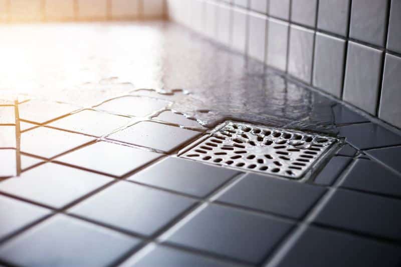 The Benefits of Regular Drain Cleaning for Preventing Costly Damage